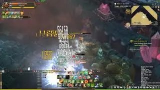 [Tree of Savior Re:build] Irredian Shelter Amiss Dog (Taoist - Rune Caster - Chrono)