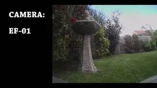 Tiny Whoop - EF-01 vs FX799T