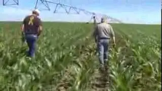 What is The Nebraska Ag Water Management Network?