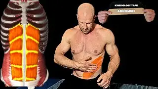 Kinesiology Taping for the Abdomen | Self-Application Demo for Pain Relief, Support & Recovery
