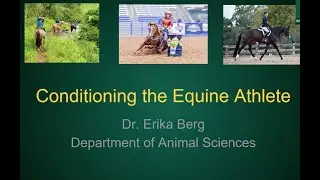 Conditioning the Equine Athlete &ndash; NDSU Extension Spring 2021 Horse Management Webinar Series