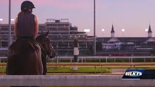 Justifreak: Hurt in a crash, horse overcomes odds to win race at Churchill Downs