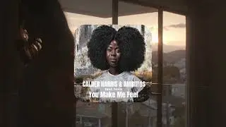 AMBITI&Oslash;S | DJ Ambicioso | Calder Harris | You Make Me Feel | ft. Nala | 😎