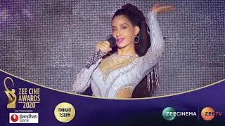 Zee Cine Awards 2020 | Tonight at 7:30PM