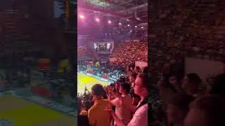 AEK - MALAGA BCL F4 💛🖤💛 #basketball #aek #aekbc #ultras #bcl #f4 #aekfamily