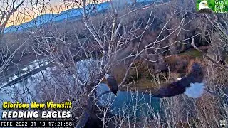 Redding Eagles - Roost Locations - Night-time Surprise!