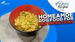 Recipe: Homemade Dog Food for Ear Infections