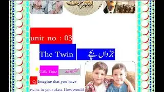 English class 8 unit 3 The Twins