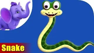 Snake Rhymes, Snake Animal Rhymes Videos for Children