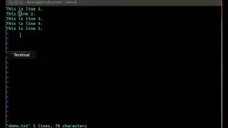 Vi Editor How to replace text