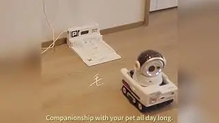 AI pet cat and dog mobile monitoring robot