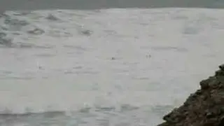 Menakoz