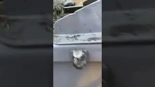Tk 70 line pumping