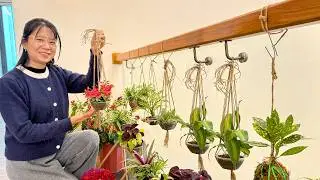 Stylish and Space Saving Home Decor Ideas Using Plants You Shouldn't Miss