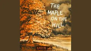 The Call Of The Bellbird