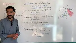 Axillary lymph nodes