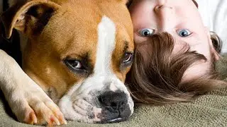 DISCOVER!!! Dogs You Can Have Around Children #understandingdogs #dogbreed #dogbehavior