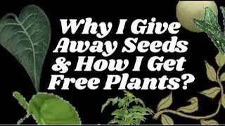 Plant & Seed Exchange #freeplants #free #plants #seeds #seedsaving #communitygarden #sharingiscaring