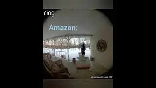 How different companies deliver your packages📦#amazon #fedex #funny #fyp #shorts
