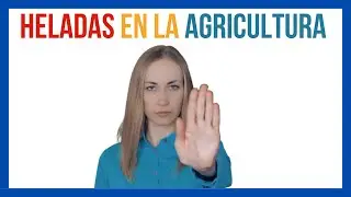 ❄️  &iquest;C&oacute;mo COMBATIR las HELADAS en la agricultura? | ViLab