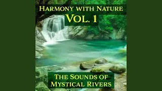 Deep in Forest: Slow Moving River