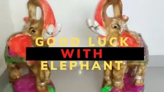HOW TO PLACE AN ELEPHANT FOR GOOD LUCK #goodlucktips #fengshui | Vastu for baby luck and career