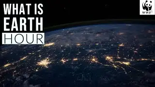 What is Earth Hour ?(earth hour 2020)