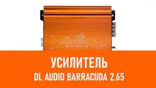 Распаковка усилителя DL Audio Barracuda 2 65