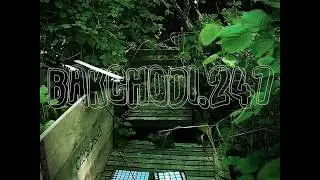 bakchodi.247 - GREEN [Ableton Live Jam]