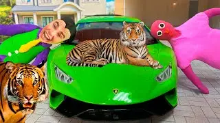Purple fat Man 's Tigris has stolen a key from Mr. Joe on Lamborghini Huracan Performante 13+