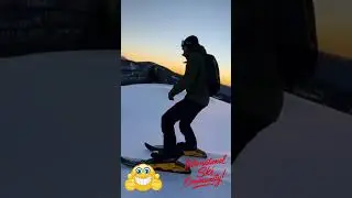 Dewalt sled shoes!