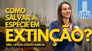 O Milagre do PAU- SANTO ! &Aacute;rvore Brasileira em Extrema Extin&ccedil;&atilde;o pode ser Recuperada pelo LEI - UFMS