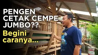 PENTING‼️Trik cetak cempe jumbo