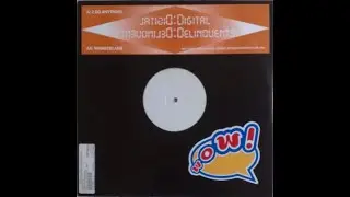 Digital Delinquents - 2 Do Anything (2003)