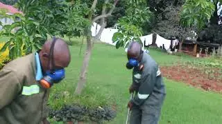 Termite Control Harare | Call 0772593344 | Guaranteed, Effective & Affordable