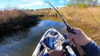Searching SKETCHY Saltwater Ditches for BIG Fish!! **Found One**