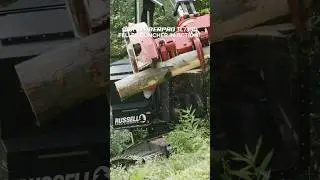 Right of way clearing with a feller buncher (TimberPro TL735D) #clearing #treework #forestry