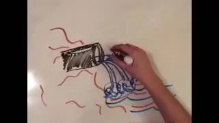 Ripple Effect Ocean Conservation