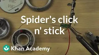 Spider's click n' stick | Home-made robots | Electrical engineering | Khan Academy