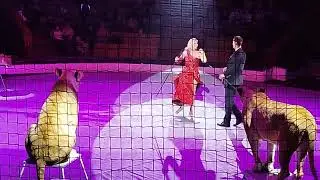 АТТРАКЦИОН 