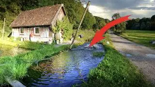 Dorfbach Live Bait Challenge: gro&szlig;e &Uuml;BERRASCHUNG !