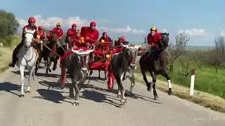 Corsa dei Carri Ururi 2022