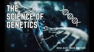 The Science of Genetics Understanding DNA and Gene Editing