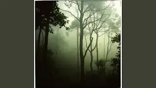 Panflute Song
