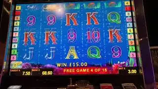 Dolphins Pearl Massive Bonus &pound;3