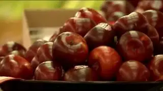 White House Fruit Farm