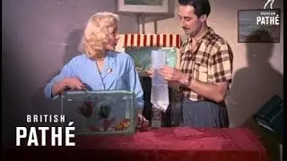 Packaging Specialist (1956)