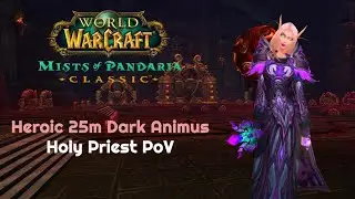 Heroic 25m Dark Animus Holy Priest PoV | Throne of Thunder