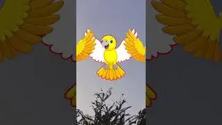 Попугай 🦜 Челлендж #паузашорты #стильжизни #попугаи