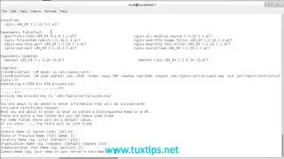How to setup Nginx HTTPS server on CentOS 7 linux.